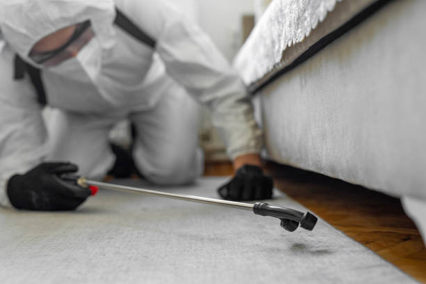 Professional Bed Bug Control technician working in Freemansburg, PA